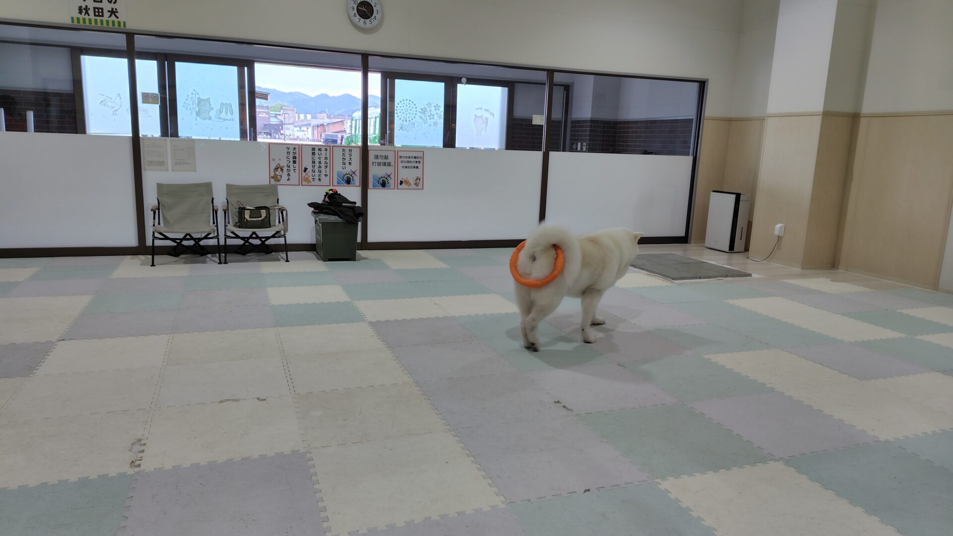 「もういいで～す」