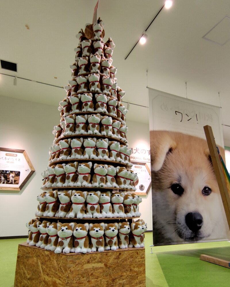 秋田犬ぬいぐるみタワー（村田が勝手に命名）