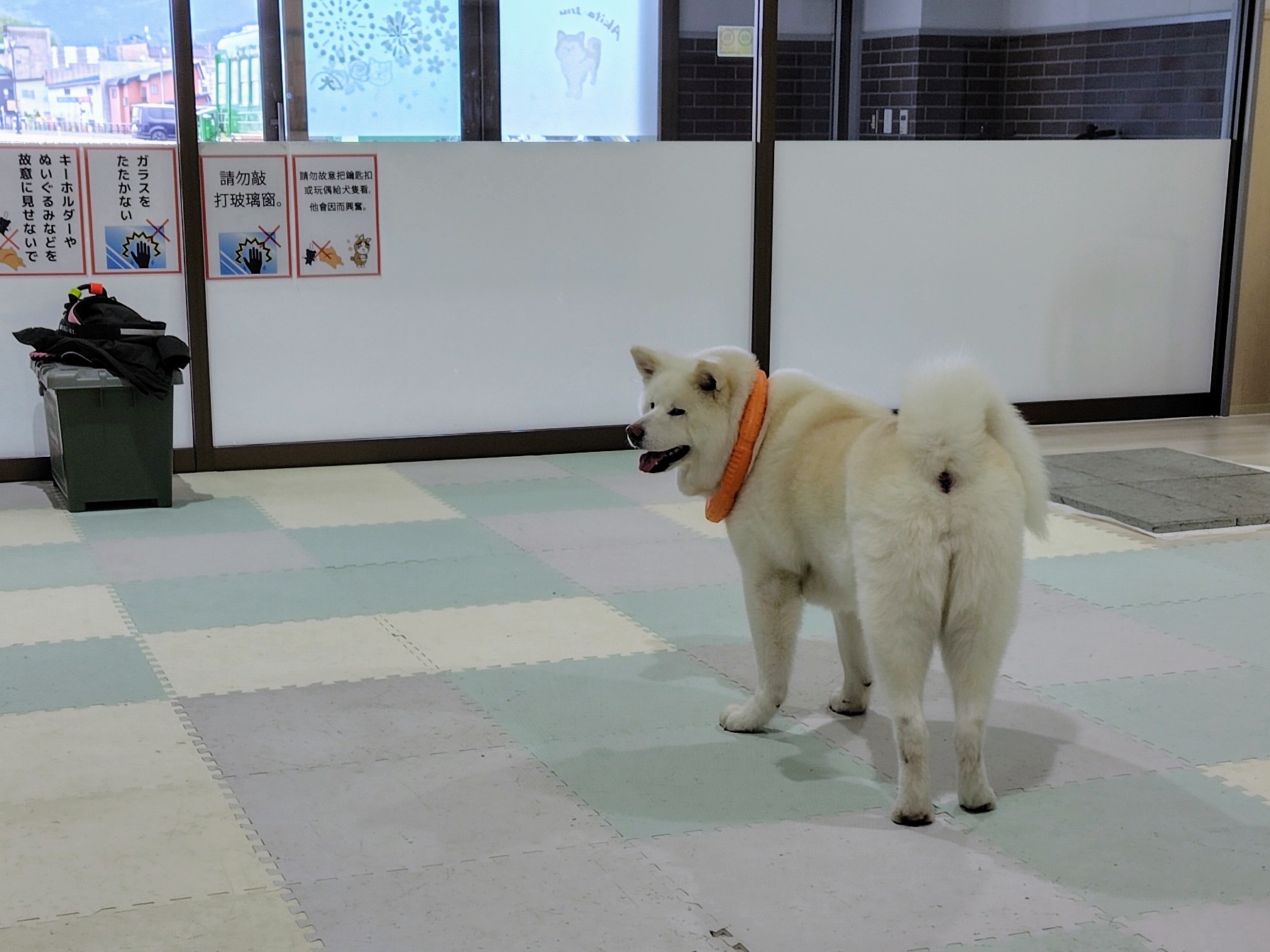 「おやつがないと行きません。」の顔
